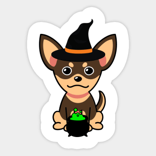 Cute small dog is a witch Sticker